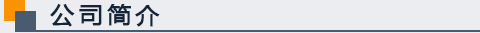 公司簡(jiǎn)介